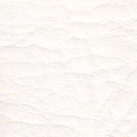 Cadeiras couro natural branco Supreme