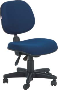 Cadeira

secretária executiva back system

ECO100.08.BB2.0N.00